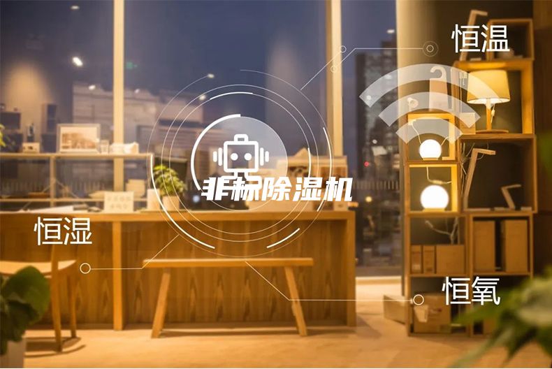 非標(biāo)除濕機