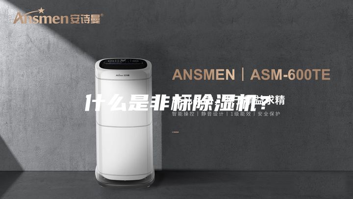 什么是非標除濕機？