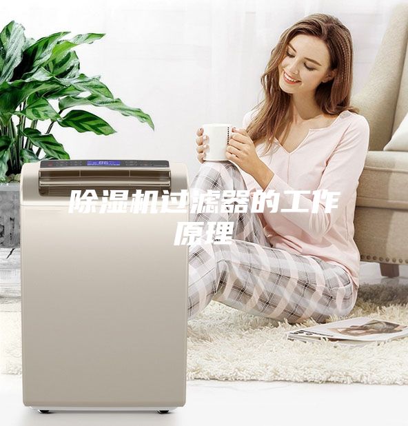 除濕機(jī)過(guò)濾器的工作原理