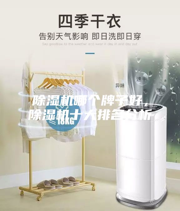 除濕機(jī)哪個(gè)牌子好，除濕機(jī)十大排名分析