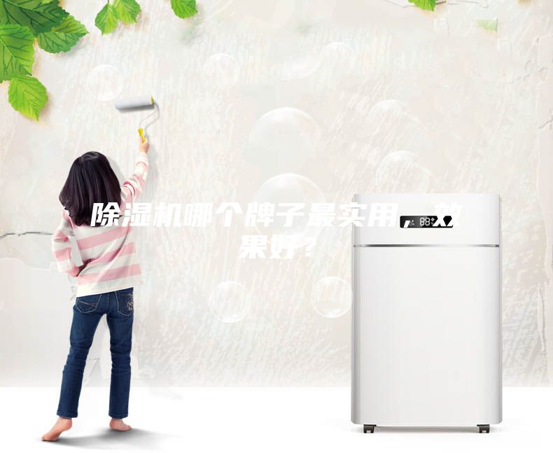 除濕機哪個牌子最實用，效果好？