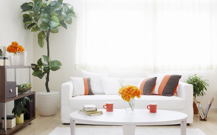 水果保鮮的秘密武器,水果冷庫加濕器