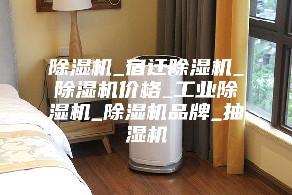 除濕機(jī)_宿遷除濕機(jī)_除濕機(jī)價格_工業(yè)除濕機(jī)_除濕機(jī)品牌_抽濕機(jī)