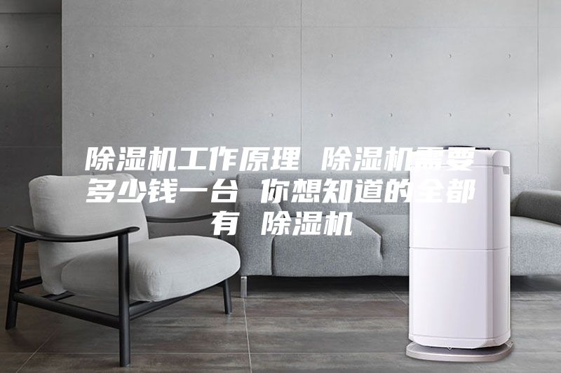 除濕機(jī)工作原理 除濕機(jī)需要多少錢(qián)一臺(tái) 你想知道的全都有 除濕機(jī)