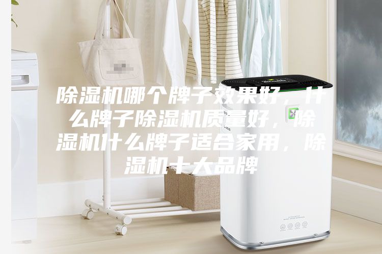 除濕機哪個牌子效果好，什么牌子除濕機質(zhì)量好，除濕機什么牌子適合家用，除濕機十大品牌