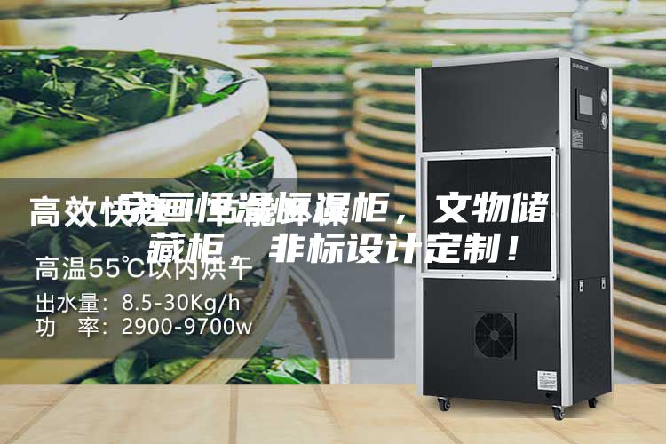 字畫恒溫恒濕柜,文物儲藏柜,非標設(shè)計定制!