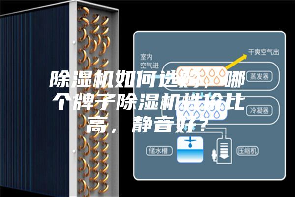 除濕機如何選購，哪個牌子除濕機性價比高，靜音好？