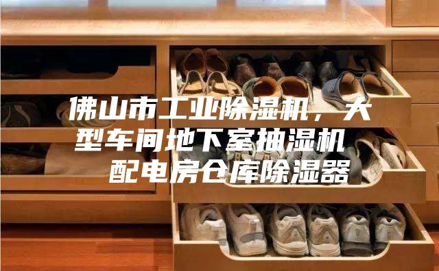 佛山市工業(yè)除濕機(jī)，大型車間地下室抽濕機(jī)  配電房倉庫除濕器