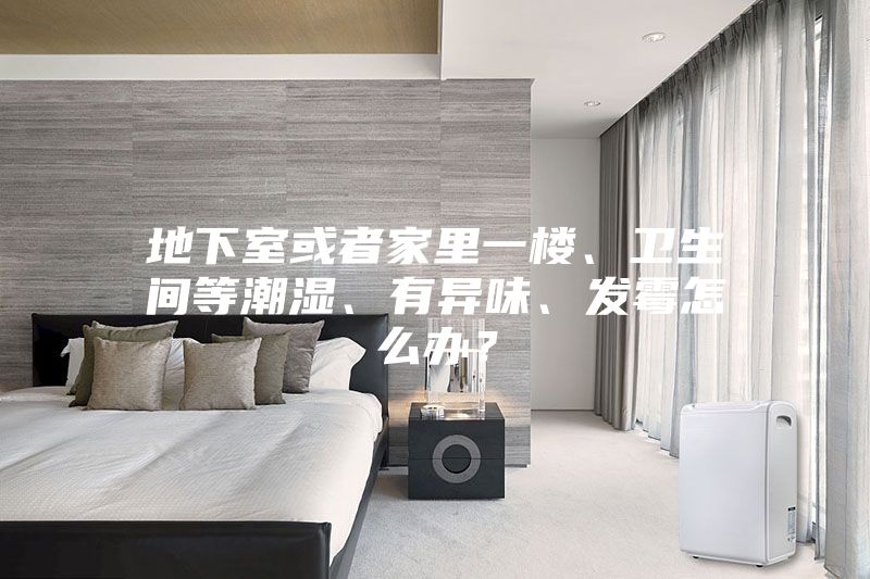地下室或者家里一樓、衛生間等潮濕、有異味、發霉怎么辦？
