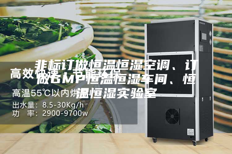 非標(biāo)訂做恒溫恒濕空調(diào)、訂做GMP恒溫恒濕車間、恒溫恒濕實(shí)驗(yàn)室