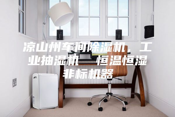 涼山州車間除濕機(jī)，工業(yè)抽濕機(jī)  恒溫恒濕非標(biāo)機(jī)器