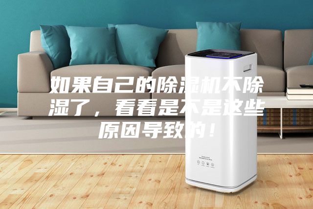 如果自己的除濕機不除濕了，看看是不是這些原因導致的！