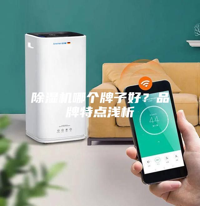 除濕機哪個牌子好？品牌特點淺析