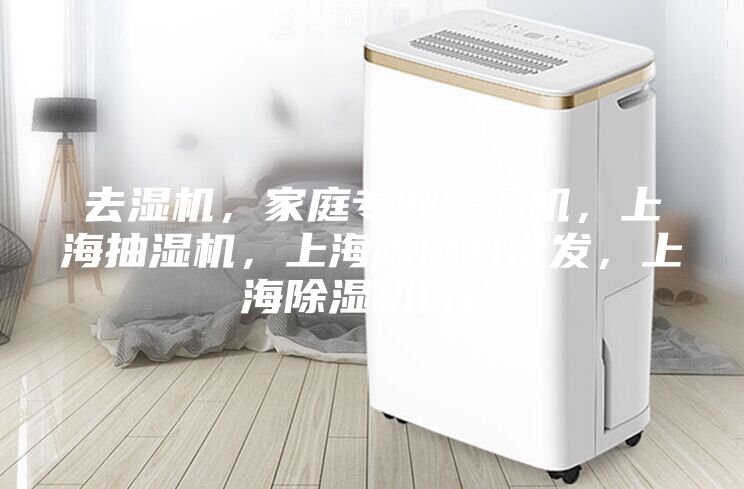 去濕機，家庭專業(yè)除濕機，上海抽濕機，上海除濕機批發(fā)，上海除濕機價錢