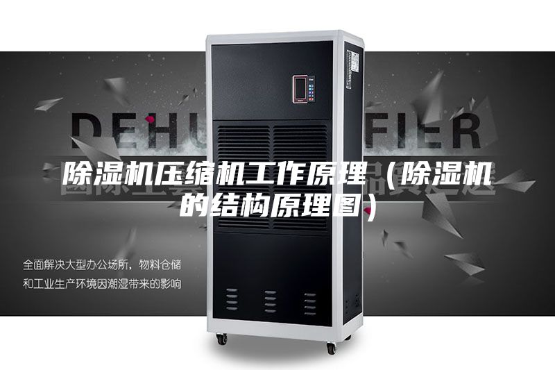除濕機壓縮機工作原理(除濕機的結構原理圖)