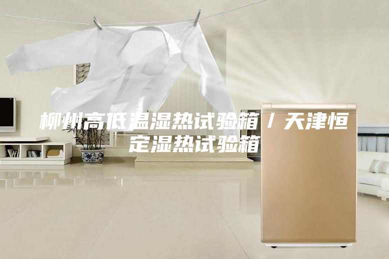 柳州高低溫濕熱試驗(yàn)箱/天津恒定濕熱試驗(yàn)箱