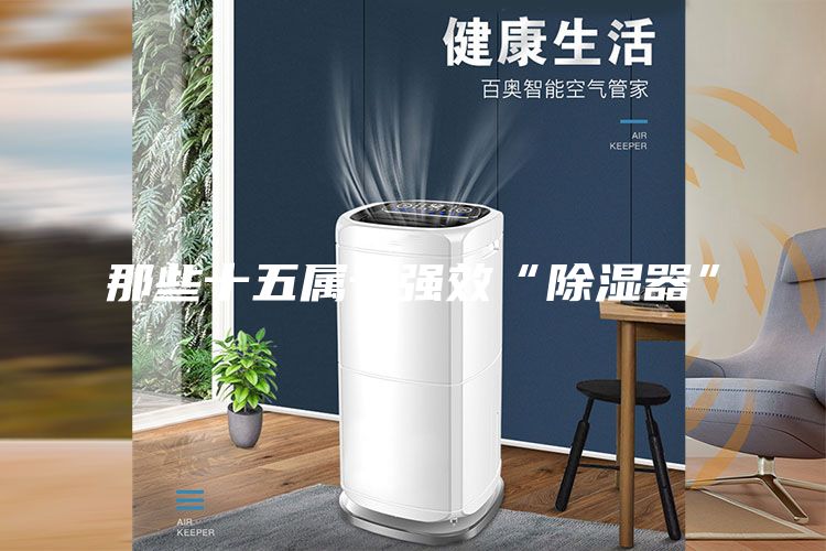 那些十五屬于強(qiáng)效“除濕器”