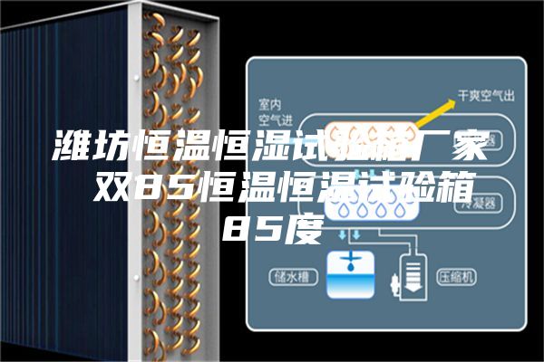 濰坊恒溫恒濕試驗箱廠家 雙85恒溫恒濕試驗箱85度