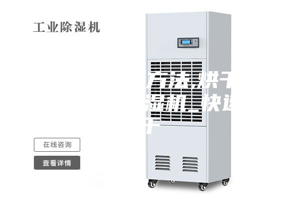 烘干房排濕方法,烘干房用耐高溫除濕機_快速烘干