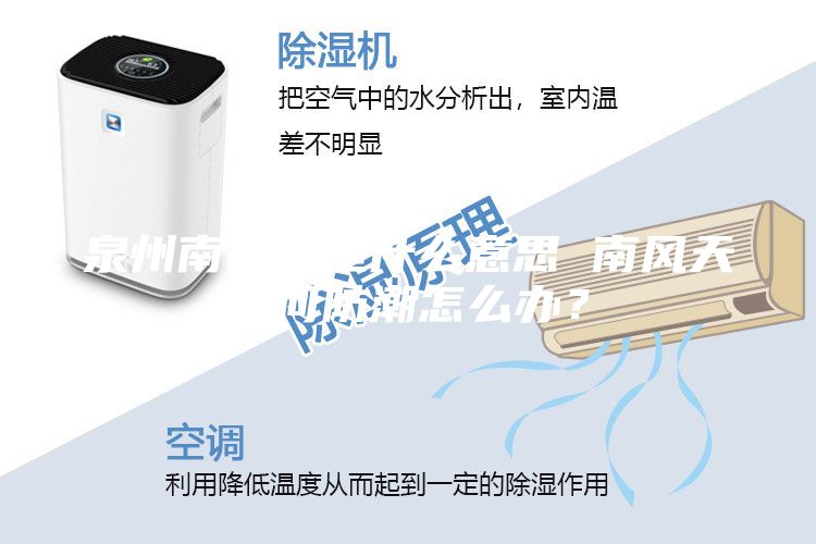 泉州南風天是什么意思 南風天如何防潮怎么辦？