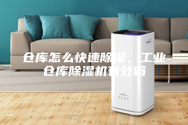 倉庫怎么快速除濕,工業(yè)倉庫除濕機有效嗎