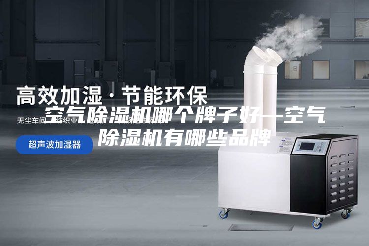 空氣除濕機(jī)哪個(gè)牌子好—空氣除濕機(jī)有哪些品牌