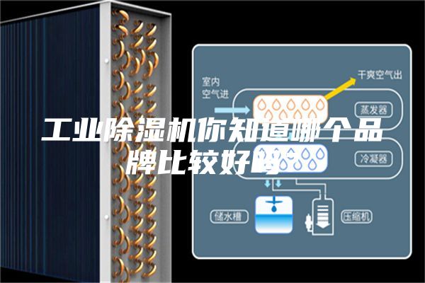 工業(yè)除濕機(jī)你知道哪個品牌比較好嗎？