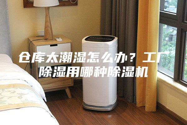 倉庫太潮濕怎么辦？工廠除濕用哪種除濕機