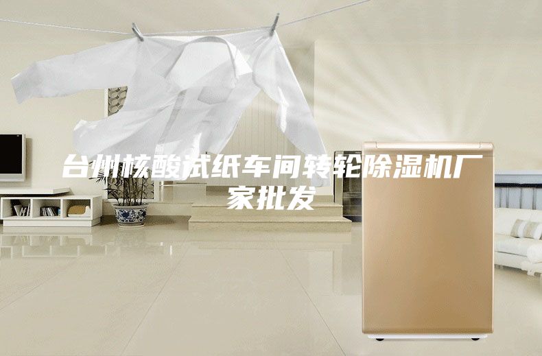 臺州核酸試紙車間轉(zhuǎn)輪除濕機(jī)廠家批發(fā)