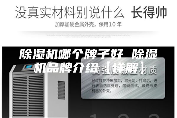除濕機(jī)哪個牌子好 除濕機(jī)品牌介紹【詳解】