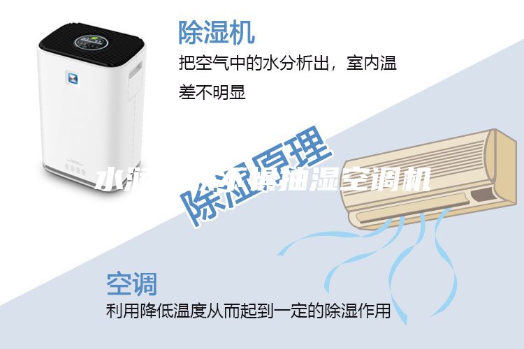 水潤肌膚不懼抽濕空調機