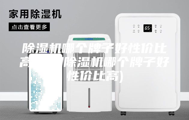 除濕機(jī)哪個(gè)牌子好性價(jià)比高(家用除濕機(jī)哪個(gè)牌子好性價(jià)比高)