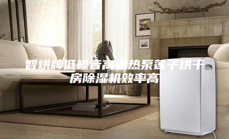 智烘牌低噪音高溫?zé)岜蒙徸雍娓煞砍凉駲C(jī)效率高