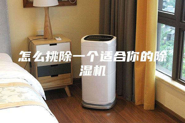 怎么挑除一個適合你的除濕機
