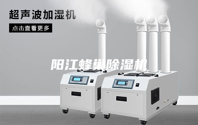 陽(yáng)江蜂巢除濕機(jī)