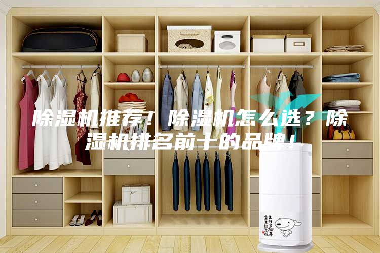 除濕機(jī)推薦!除濕機(jī)怎么選?除濕機(jī)排名前十的品牌!