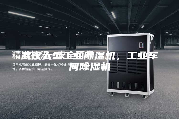 武漢大型工業(yè)除濕機，工業(yè)車間除濕機