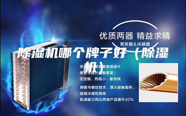除濕機哪個牌子好(除濕機)