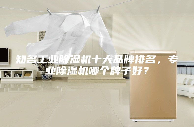 知名工業(yè)除濕機十大品牌排名,專業(yè)除濕機哪個牌子好?
