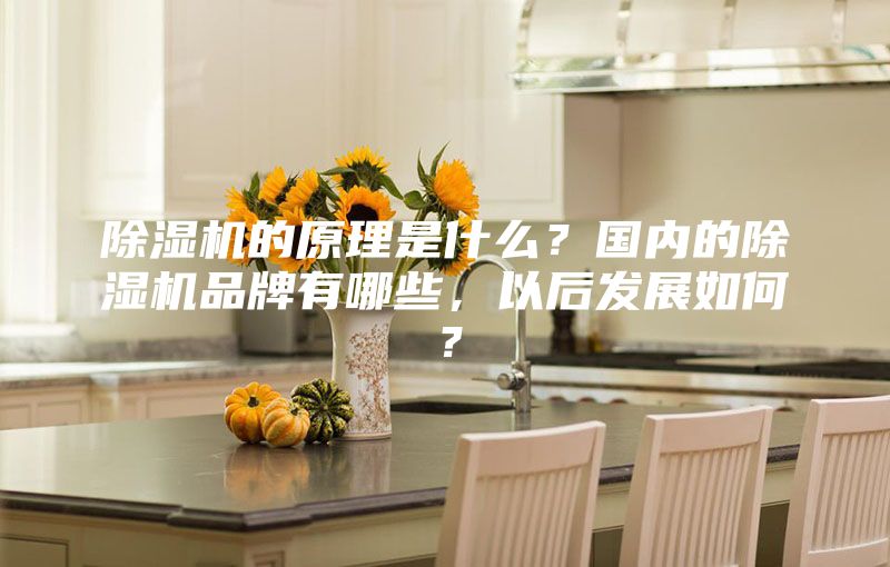 除濕機的原理是什么？國內的除濕機品牌有哪些，以后發展如何？