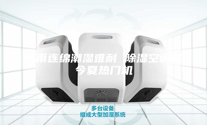 陰雨連綿潮濕難耐 除濕空調(diào)成今夏熱門機