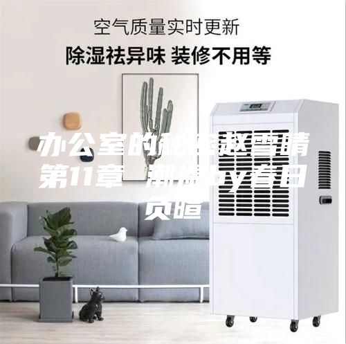 辦公室的秘密趙雪晴第11章 潮濕by春日負(fù)暄