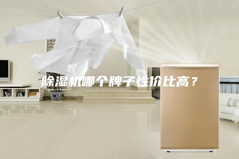 除濕機哪個牌子性價比高?