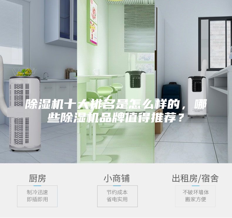 除濕機十大排名是怎么樣的，哪些除濕機品牌值得推薦？