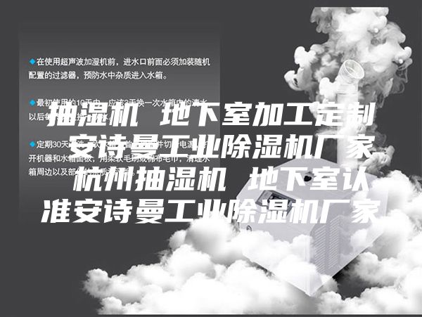 抽濕機 地下室加工定制 安詩曼工業(yè)除濕機廠家 杭州抽濕機 地下室認準安詩曼工業(yè)除濕機廠家