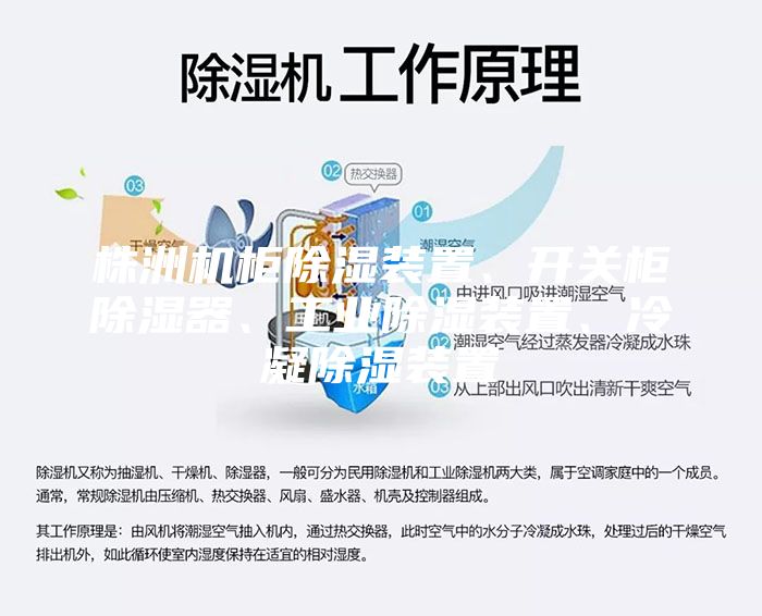株洲機(jī)柜除濕裝置、開關(guān)柜除濕器、工業(yè)除濕裝置、冷凝除濕裝置