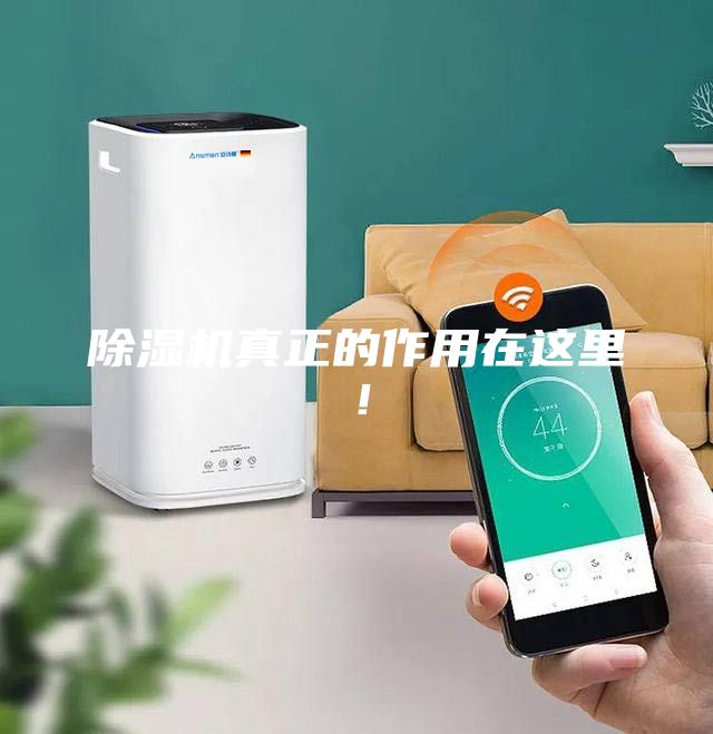 除濕機(jī)真正的作用在這里！