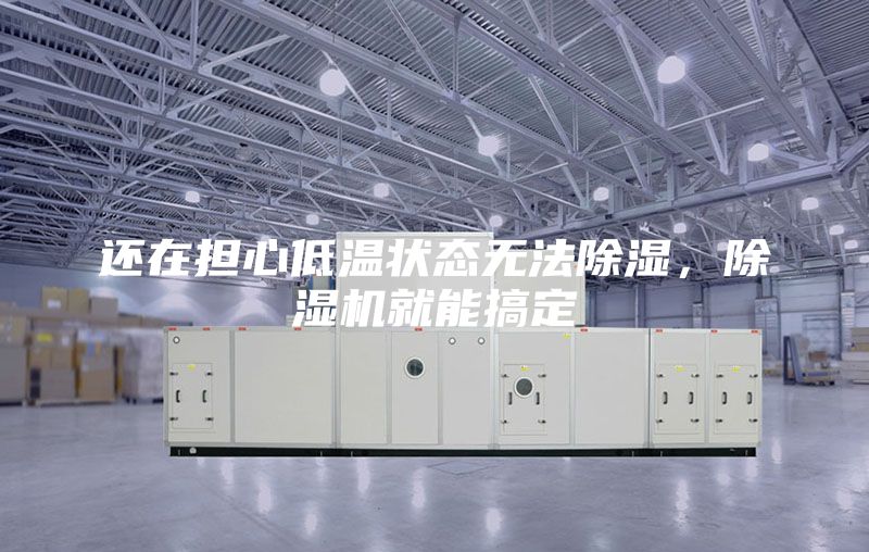 還在擔心低溫狀態無法除濕，除濕機就能搞定