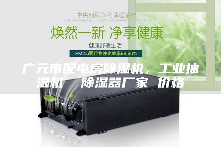 廣元市配電房除濕機，工業抽濕機  除濕器廠家 價格