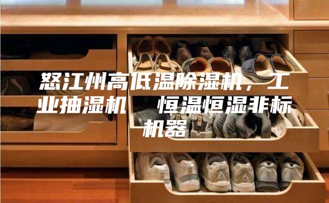 怒江州高低溫除濕機,工業抽濕機 恒溫恒濕非標機器